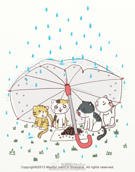 插画 宠物 壁纸 猫咪 雨天