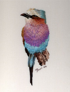 Lilac Breasted Roller