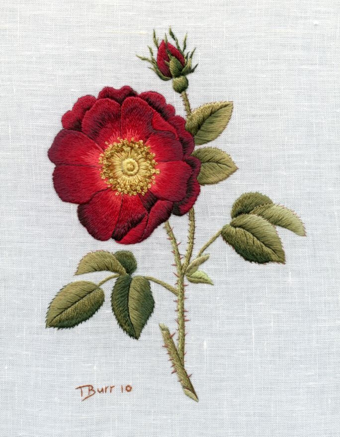 Needle Painting with Thread-French Rose by Trish Burr