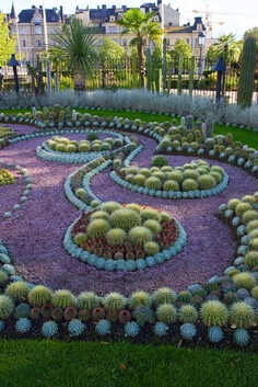 cactus garden art