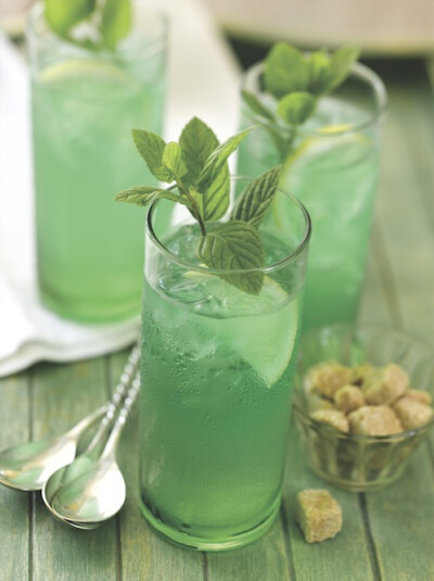mint iced green tea recipe
