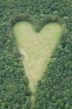 A heart-shaped meadow, created by a farmer as a tribute to his late wife, can be seen from the air near Wickwar, South Gloucestershire. The point of the heart points towards Wotton Hill, where his wif…