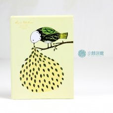 小林创意/精装记事本/清新简约笔记本/涂鸦插画本/美丽的希望4本