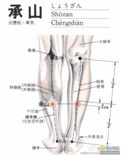 老人腿抽筋是很常见的问题，可以在承山穴位按压顺时针36下逆时针36下，效果很好。