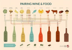 infographic之酒与食物的配搭