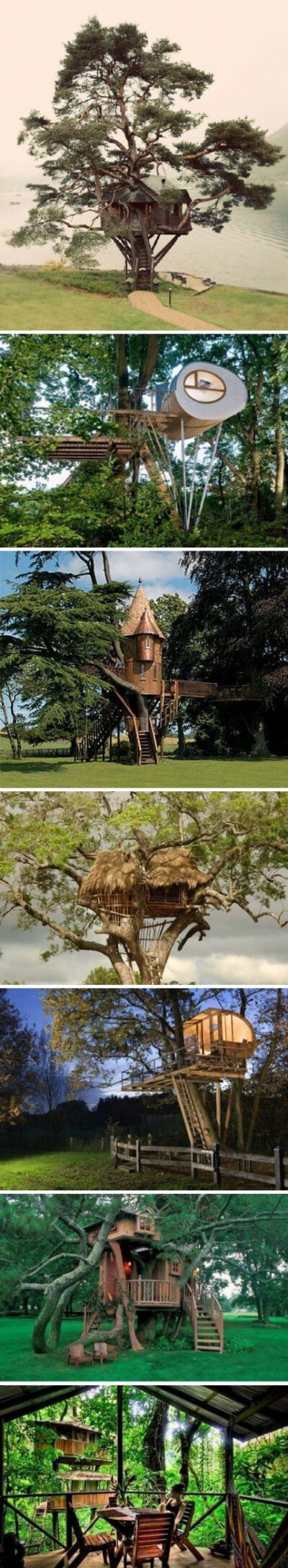 你想住在这样的树屋中吗？「转」