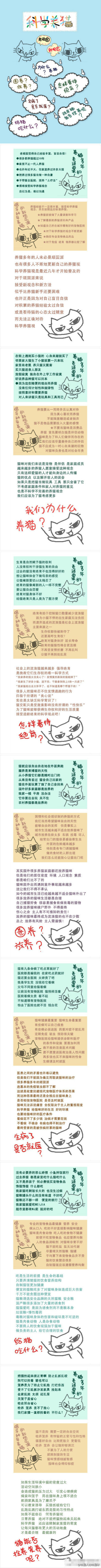 科学养猫手册