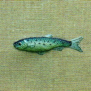 Embroidery on linen