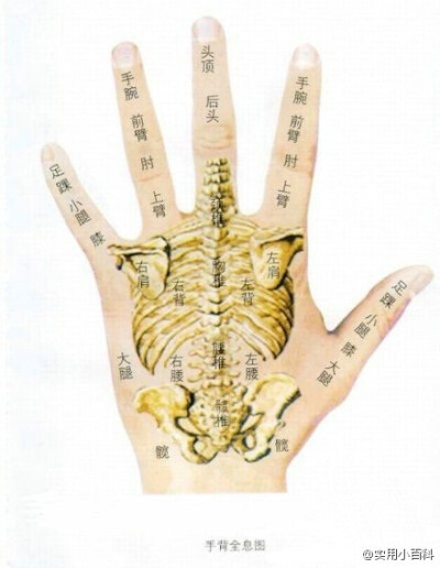 【一分钟止痛，各种痛都可以止】头痛就去手拇指上压，就会找到一个很痛的点。上肢的疼痛会在食指上有一个压痛点.背部，腰部痛，就找中指上的找.肚腹疼痛就在无名指上找.下肢的疼痛,就在小指上找.一般左边痛,在右手指…