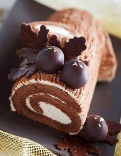 Chocolate cake roll ...