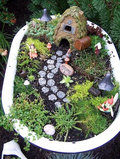 Fairy Garden