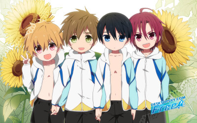 Free!男子游泳部桌面壁纸,第9张图片