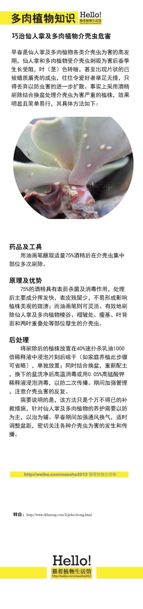 早春是仙人掌及多肉植物各类介壳虫为害的高发期，仙人掌和多肉植物受介壳虫刺吸为害后春季生长受阻，叶（茎）色转暗，甚至出现片状的已被蜡质盾壳的成虫，往往令爱好者举足无措，只得丢弃以防虫害的进一步扩散。做好防范很重要哦～！