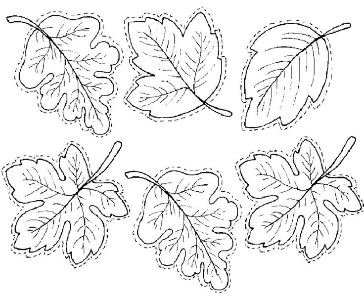 These could make nice fall embroidered leaves...!