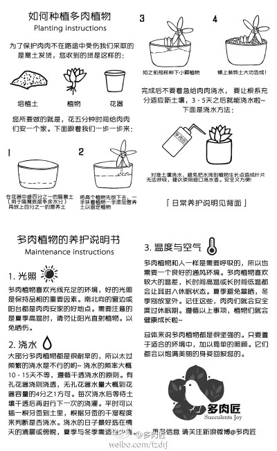 如何种植多网植物