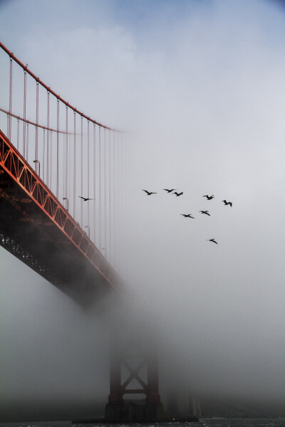 Photograph The mystery bridge by Arindam Sen on 500px