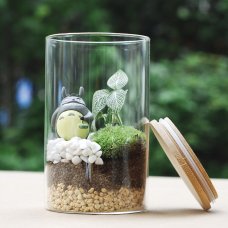 苔藓微景观植物 苔藓生态瓶 苔藓diy 创意绿植 龙猫瓶包邮