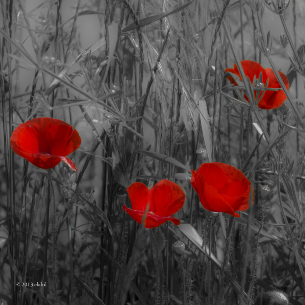 Photograph Dias negros by Eduardo Latorre on 500px