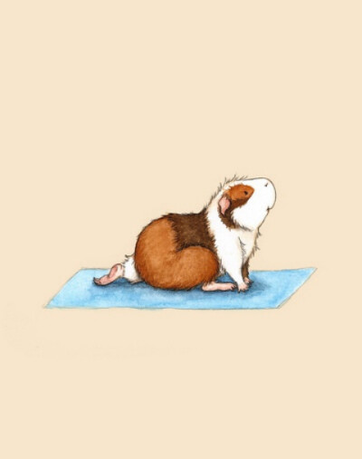 练瑜伽的小仓鼠 插画艺术