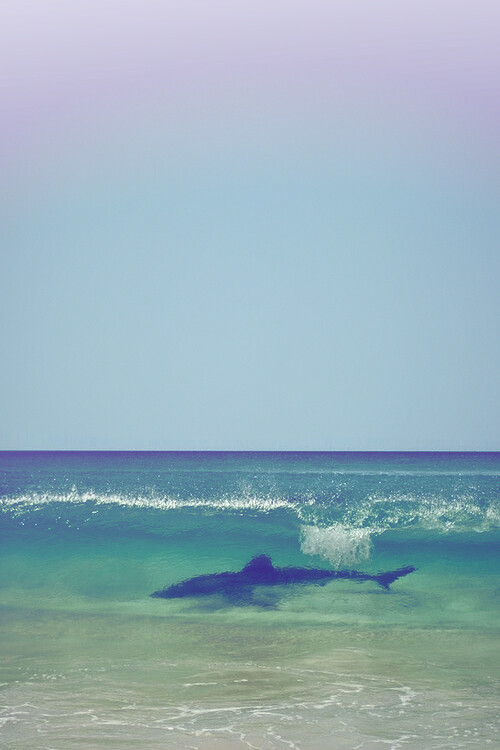 摄影,胶片,纪实,旅行,欧洲,日本,日系,和风,自然,风景,宠物,萌,视觉,色彩,海,天空