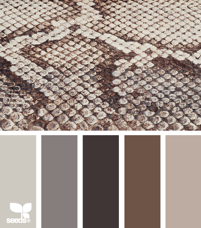 snake skin hues