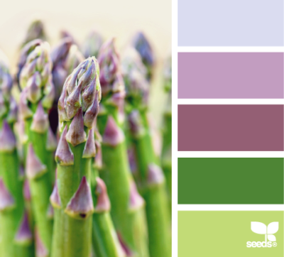 asparagus brights