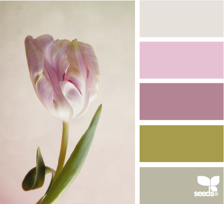 tulip tones