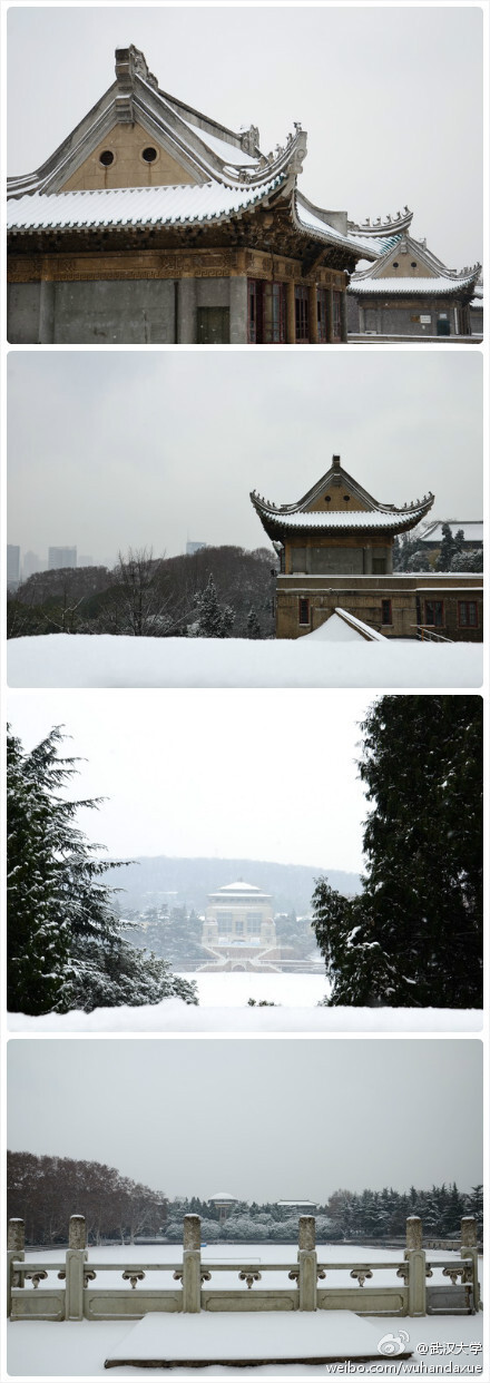 武汉大学----雪景