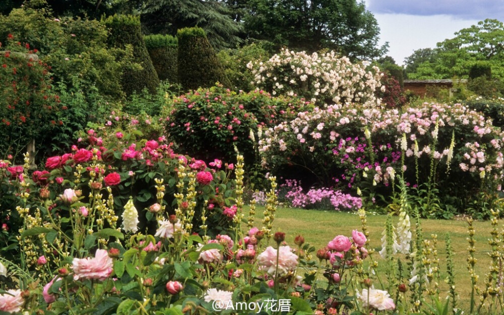 Mottisfont Abbey Rose Gardens (National Trust) Mottisfont修道院玫瑰花园 （Hampshire, England）是英国最优秀的玫瑰花园之一，在园中种植着英国国家收藏的玫瑰品种，可追溯到数百年前。每年的夏季是最适合游览花园的时间，游客在这里除了可欣赏玫瑰亦可品鉴玫瑰香水，值得一去。by ukgardenphotos