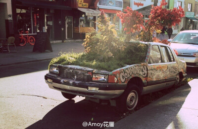 粗犷大型花器。来自Ryan Parker，摄于肯辛顿市场（kensington market ） 多伦多的一个著名多元文化集市