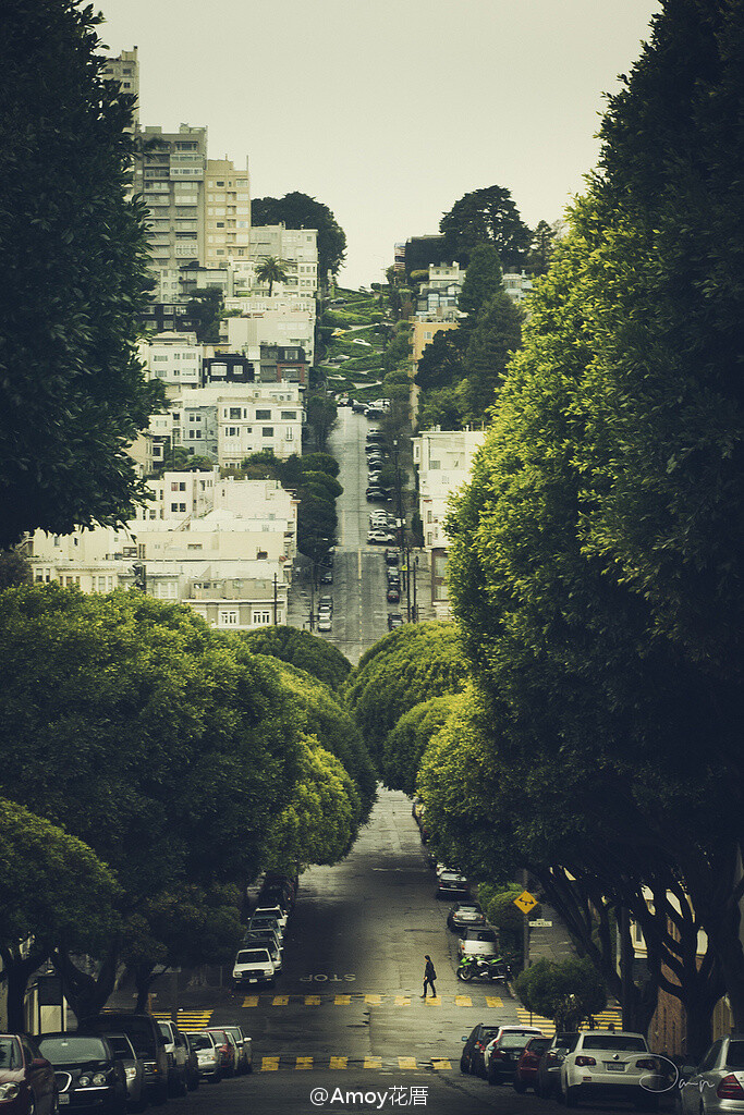 早安，Lombard street - San Francisco (by Danilo Fermata) 旧金山九曲花街，喜欢的充满绿色的街道之一。