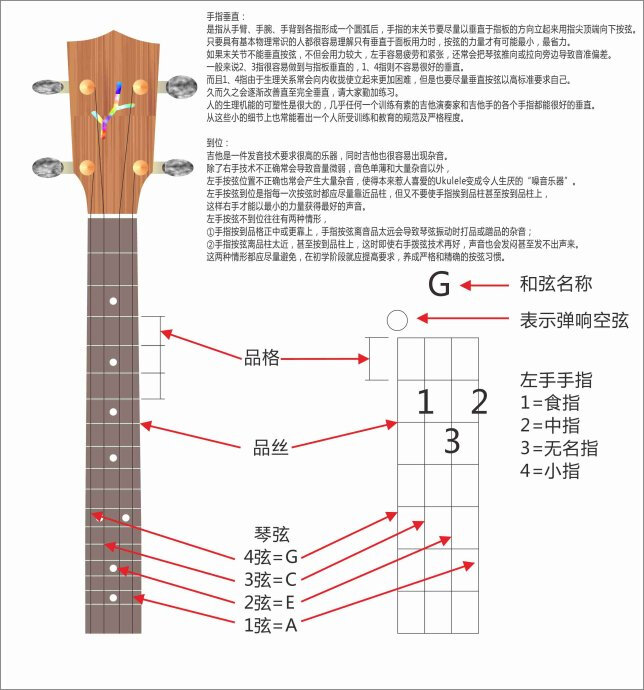 不会看谱的同学进了看看