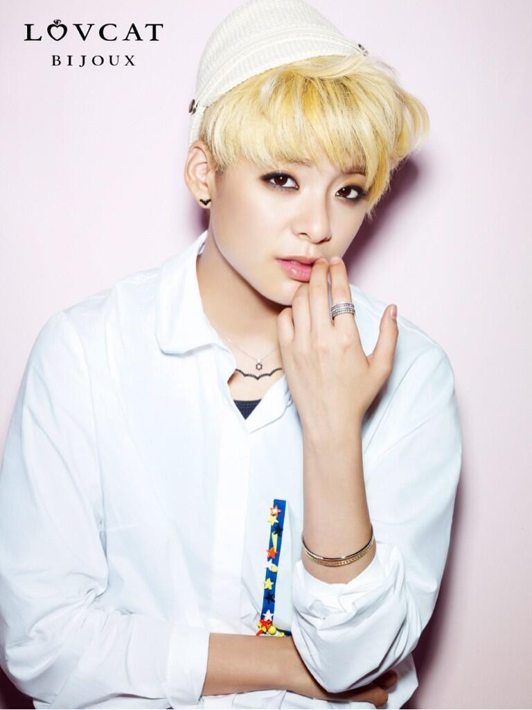 lovecat 新品画报