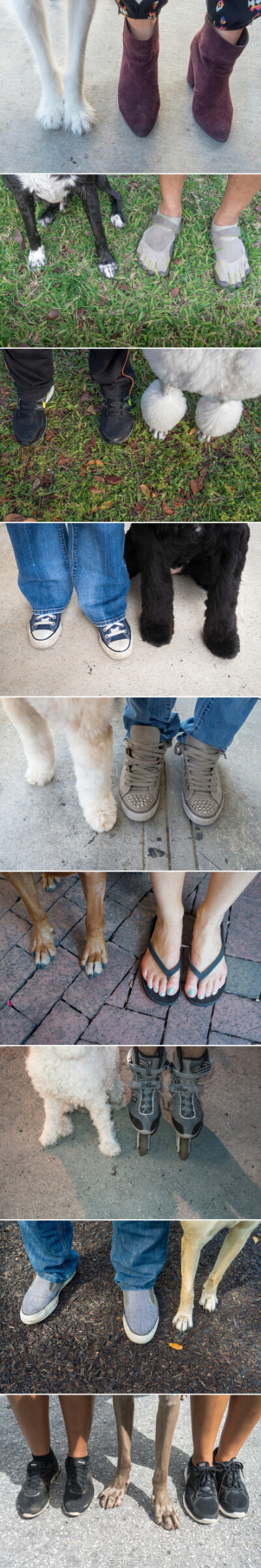 #么么哒# Feet &amp; Paws