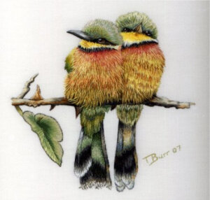 花鸟刺绣，作者：Trish Burr