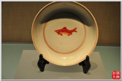 （明正德）白釉红彩鱼纹盘，高3.8厘米，口径17.7厘米。