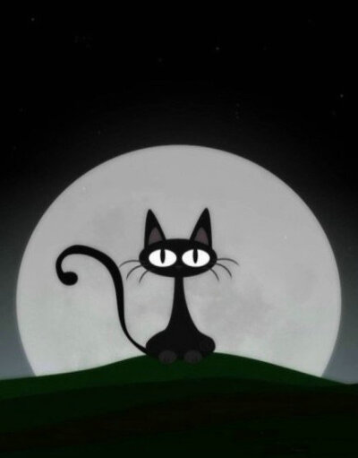 夜猫