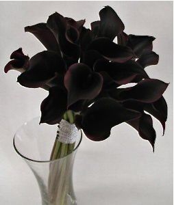 black flowers