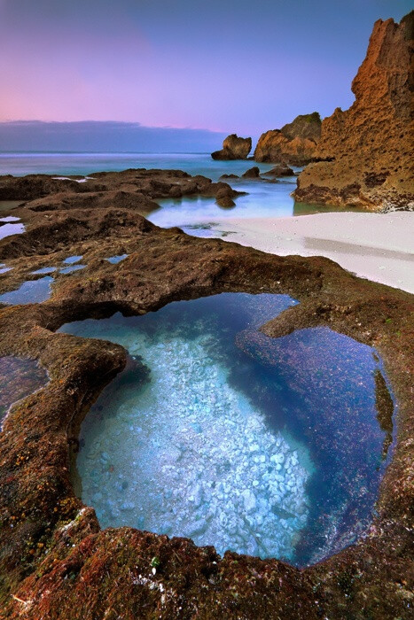 tide pool