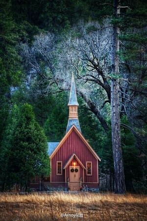林中的小教堂，安静地与植物和花朵生活在一起。图片来自网络搜集。