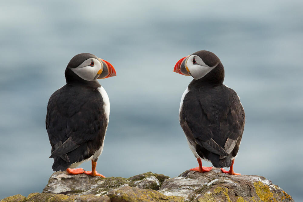 Photograph I love you - I love you too by Milan Zygmunt on 500px