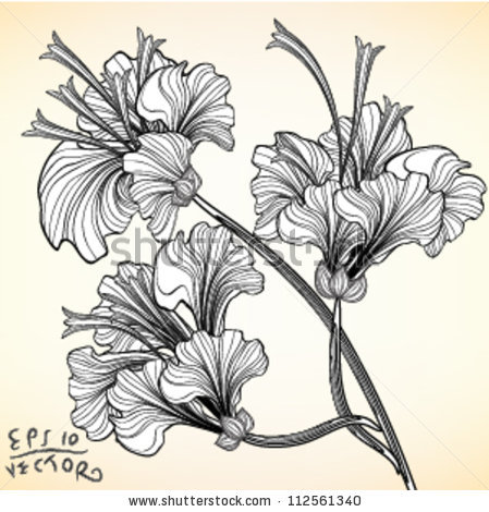 Hand drawn flower Hibiscus elements for design, EPS10 Vector background - stock vector