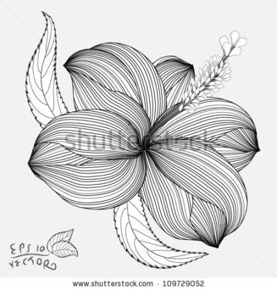 Abstract Hibiscus floral background. Element for design. EPS10 Vector - stock vector