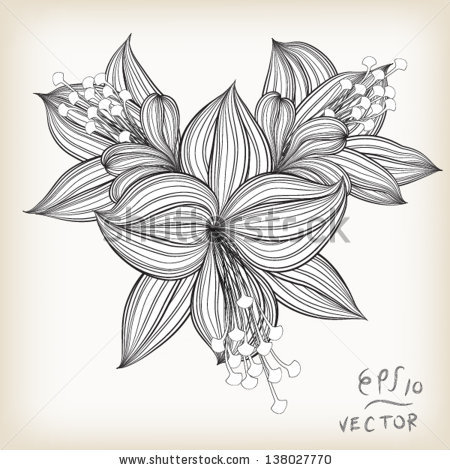 Floral Elements for design, EPS10 Vector background - stock vector