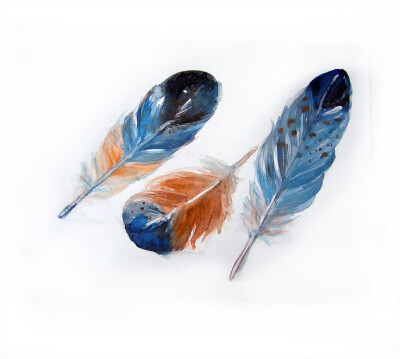 Watercolor painting of feathers