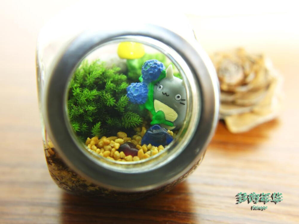 苔藓微景观 生态瓶 创意礼物 多多洛の梦 龙猫苔藓小品 多肉年华