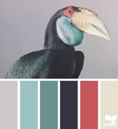 feathered hues 06.15.13 -鱼-