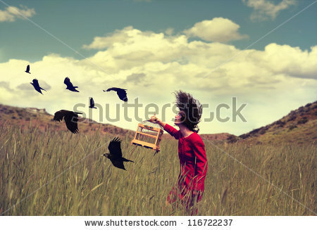 a girl walking in a field with a flock of birds - stock photo