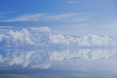 玻利维亚乌尤尼盐沼 Photograph Salar de Uyuni by Gustavo Schinner on 500px