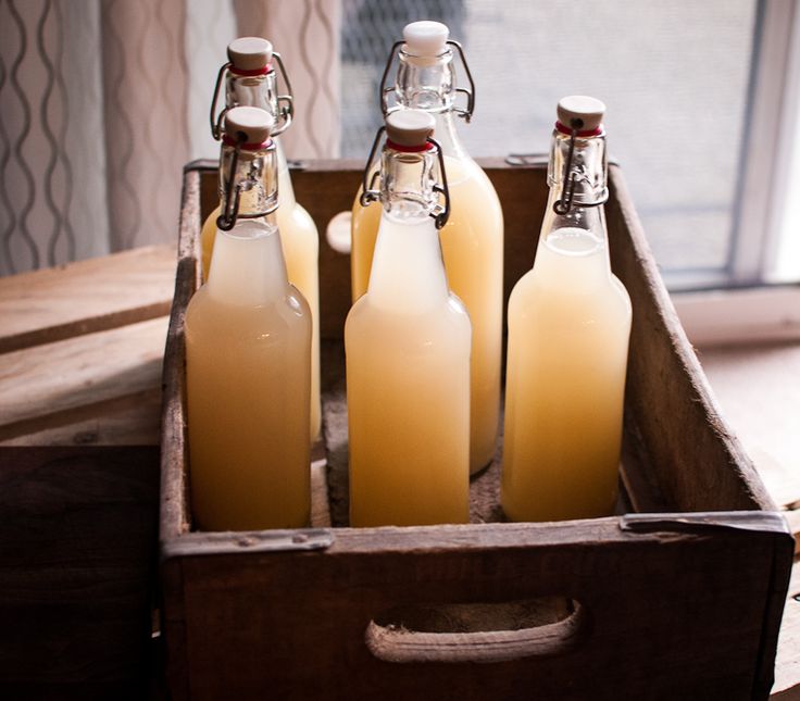 homemade ginger beer